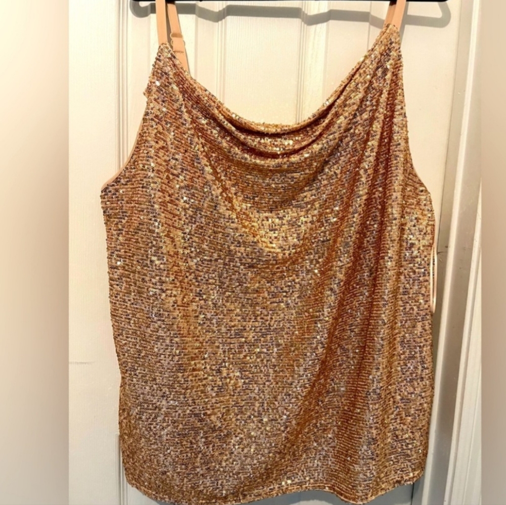 NWT, R&M Richards Cami